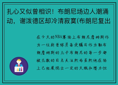 扎心又似曾相识！布朗尼场边人潮涌动，谢泼德区却冷清寂寞(布朗尼复出)