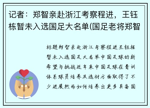 记者：郑智亲赴浙江考察程进，王钰栋暂未入选国足大名单(国足老将郑智)