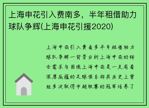 上海申花引入费南多，半年租借助力球队争辉(上海申花引援2020)