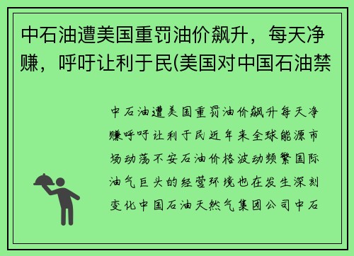 中石油遭美国重罚油价飙升，每天净赚，呼吁让利于民(美国对中国石油禁运)